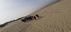 IMG-20220328-WA0025